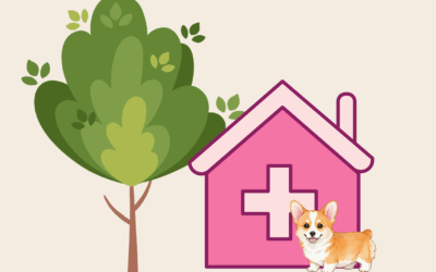 ieder huisje heeft z’n kruisje